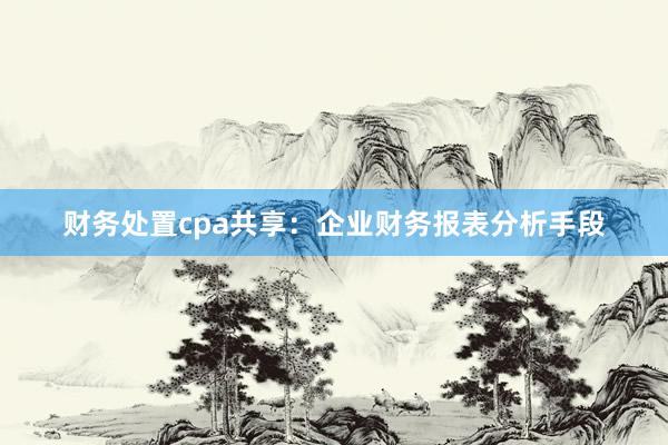 财务处置cpa共享：企业财务报表分析手段