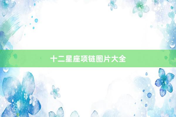 十二星座项链图片大全