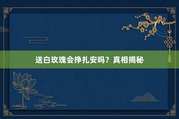 送白玫瑰会挣扎安吗？真相揭秘