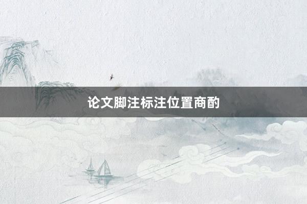 论文脚注标注位置商酌